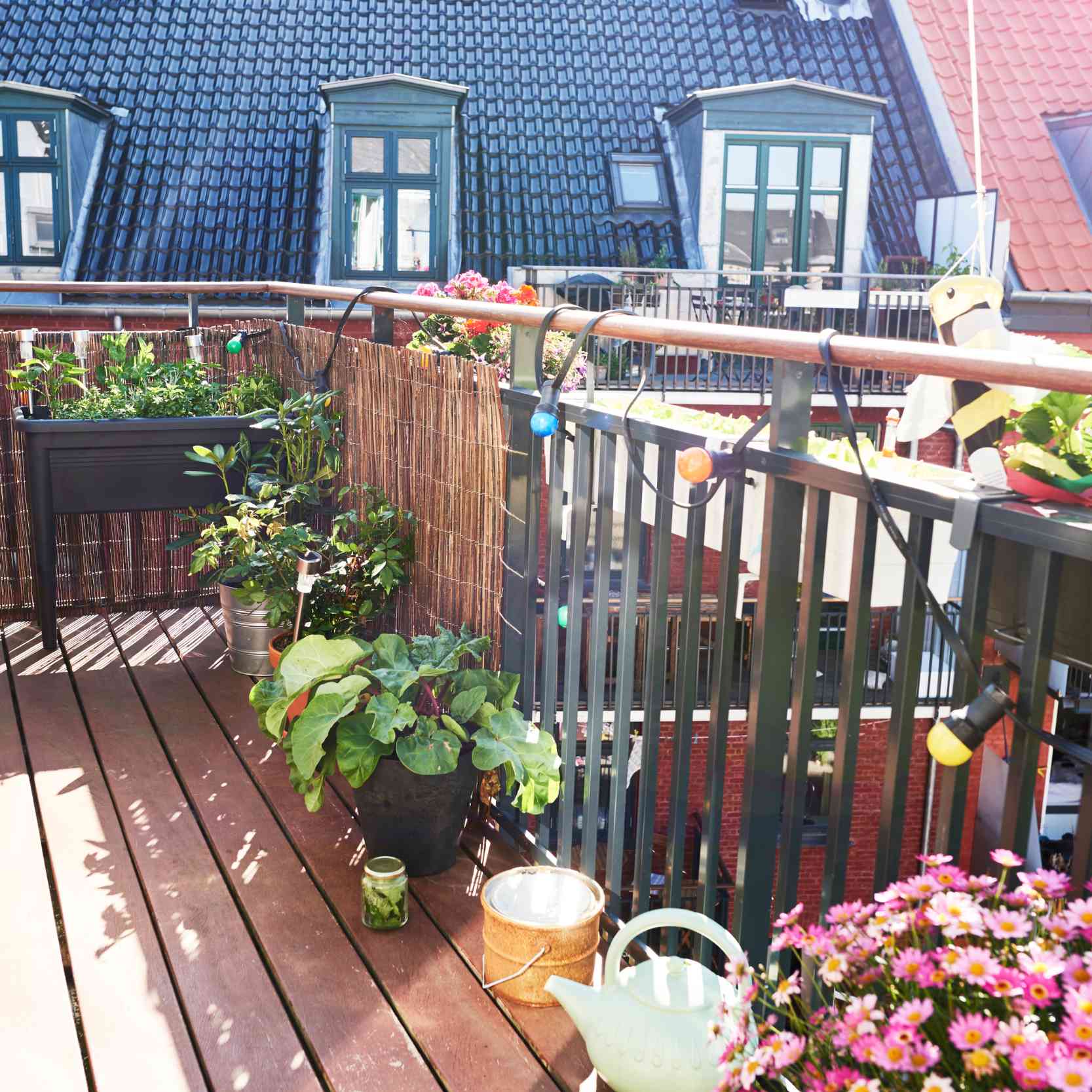 Urban Gardening - Gärtnern auf dem Balkon