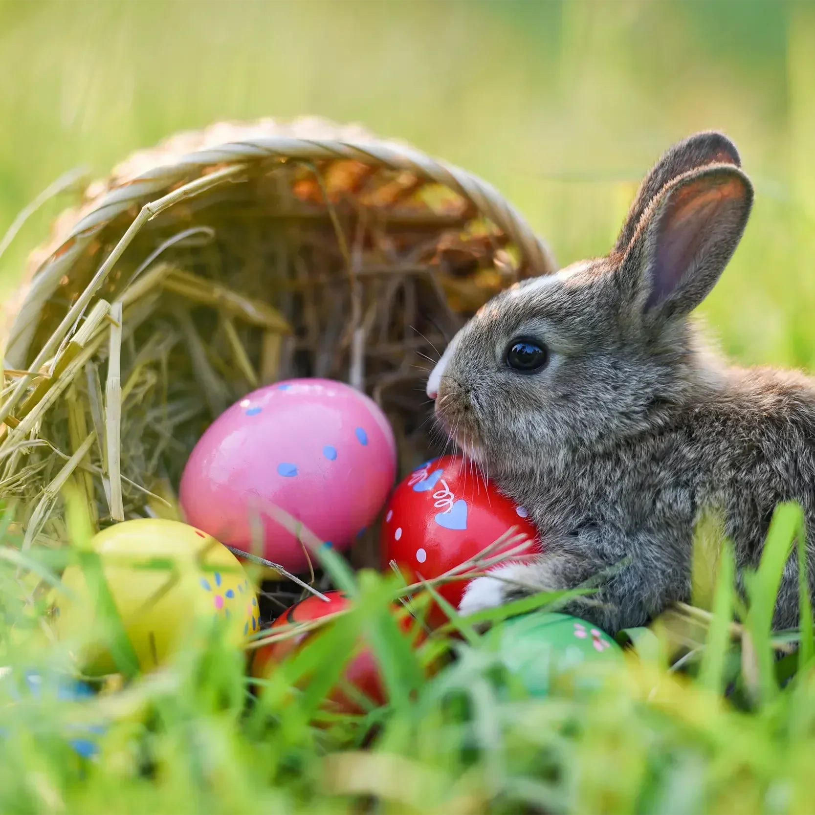Osterbräuche wie Ostereier suchen