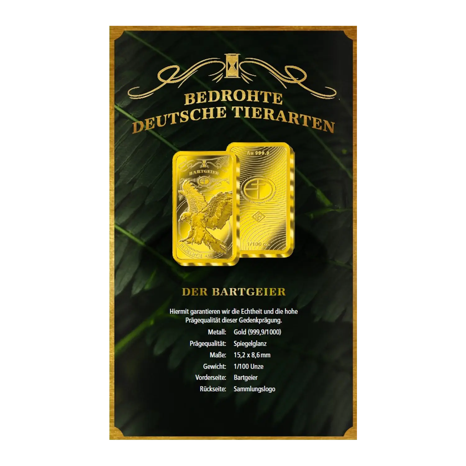 Goldbarren Bedrohte Tierarten Bartgeier