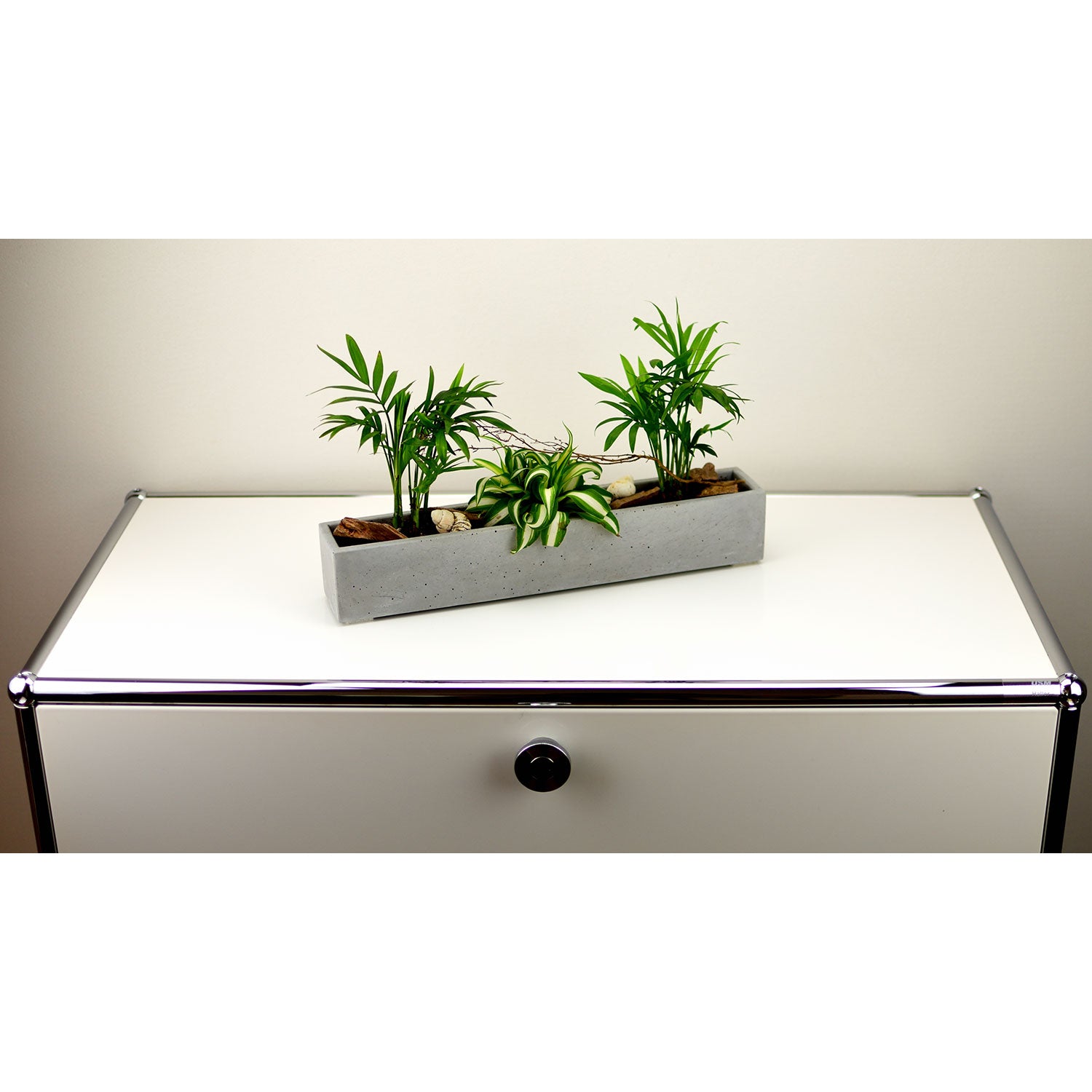 Ein schlichter weißer Schrank mit Stahlgriff beherbergt einen grauen, länglichen Betonblumenkasten mit drei kleinen Grünpflanzen mit unterschiedlichen Blattformen. Geschmückt mit hellen Steinen auf neutralem Hintergrund verkörpert dieses Arrangement die Essenz stilvoller Pflanzgefäße.