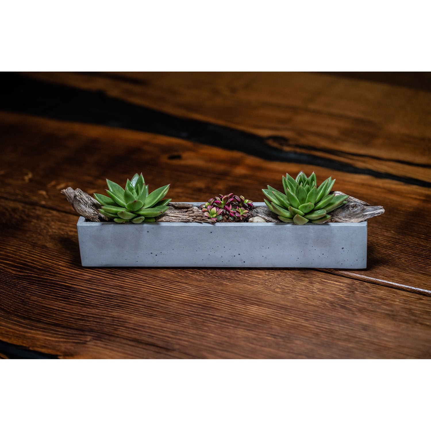 Der graue, längliche Blumenkasten aus Beton präsentiert zwei üppige Sukkulenten und winzige violette Blumen, elegant vor einer strukturierten Holzoberfläche platziert, die für ihr stilvolles Pflanzgefäß-Design bekannt ist.