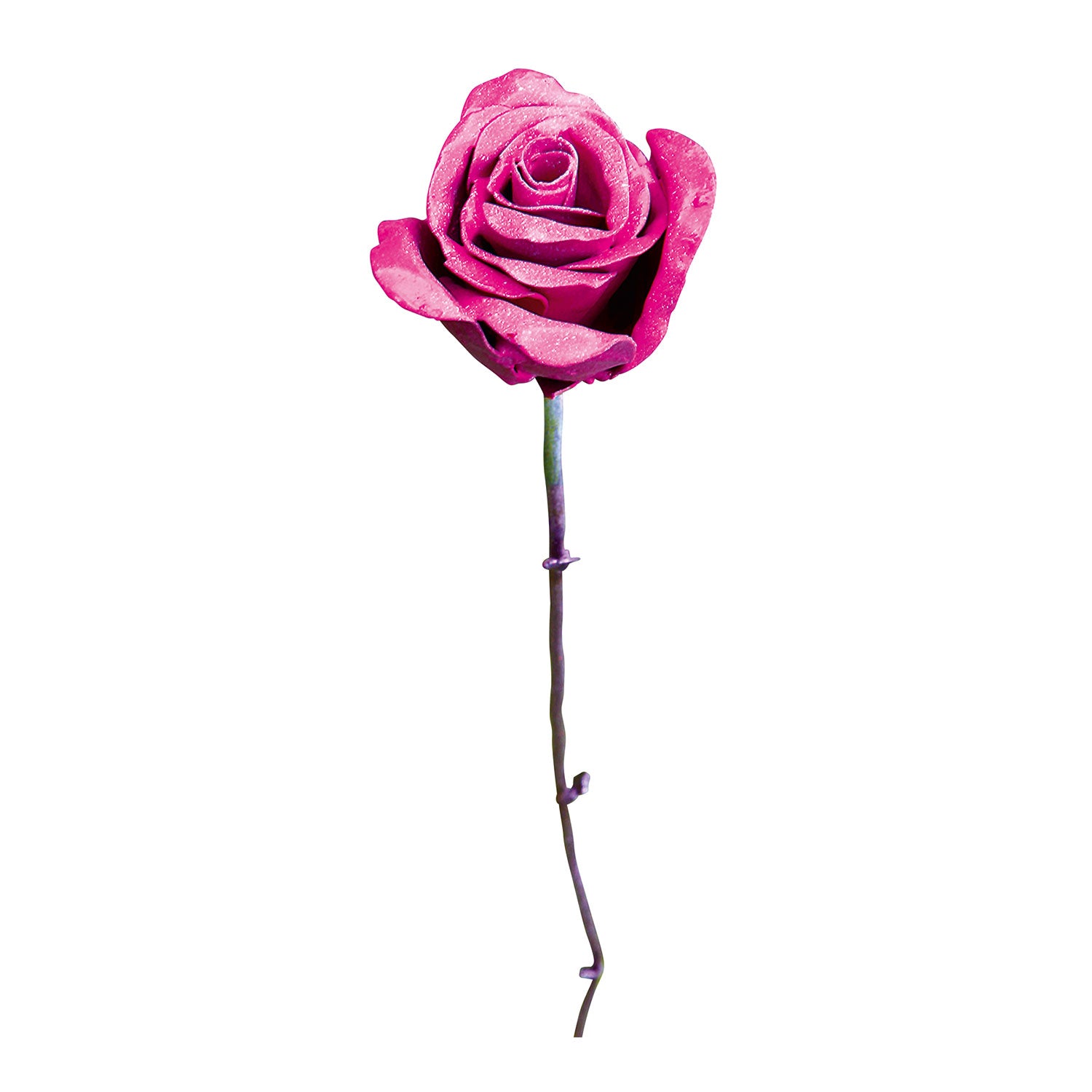 Eine einzelne rosa Rose mit langem Stiel vor weißem Hintergrund ähnelt einem exquisiten Gartenstecker-Blumenset „Rosa Rosen“ mit vollständig geöffneten Blütenblättern, die eine satte Farbe und zarte Textur aufweisen.