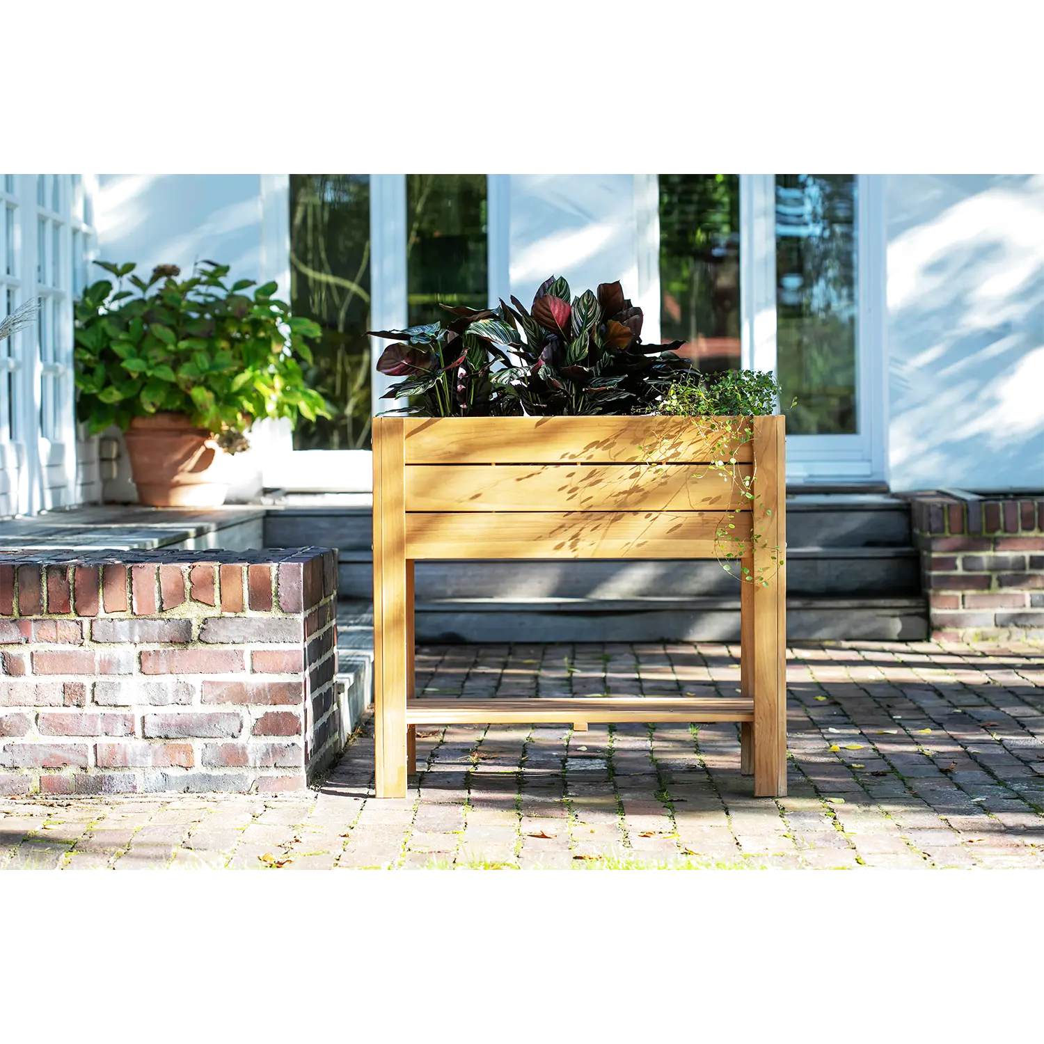 Ein Kräuterhochbeet mit üppigen, dunkelgrünen Pflanzen steht auf einer sonnenbeschienenen Ziegelterrasse neben Ziegelstufen, die zu Doppelglastüren führen. Links oben ist eine Topfpflanze zu sehen, die dieser ruhigen Gartenecke Charme verleiht.