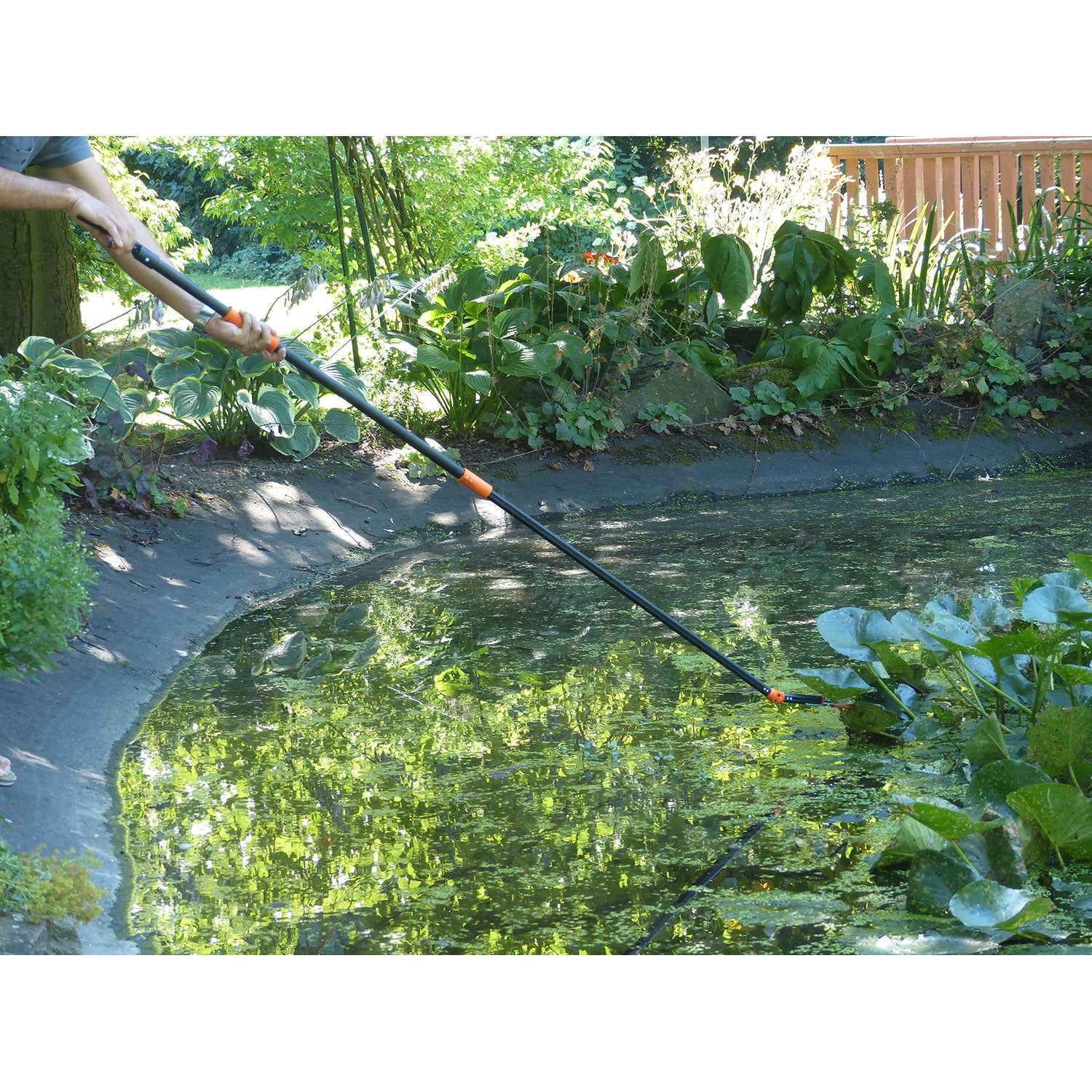 Die Rosenkavalier Rosen-Schere eignet sich auch für Teichpflanzen.