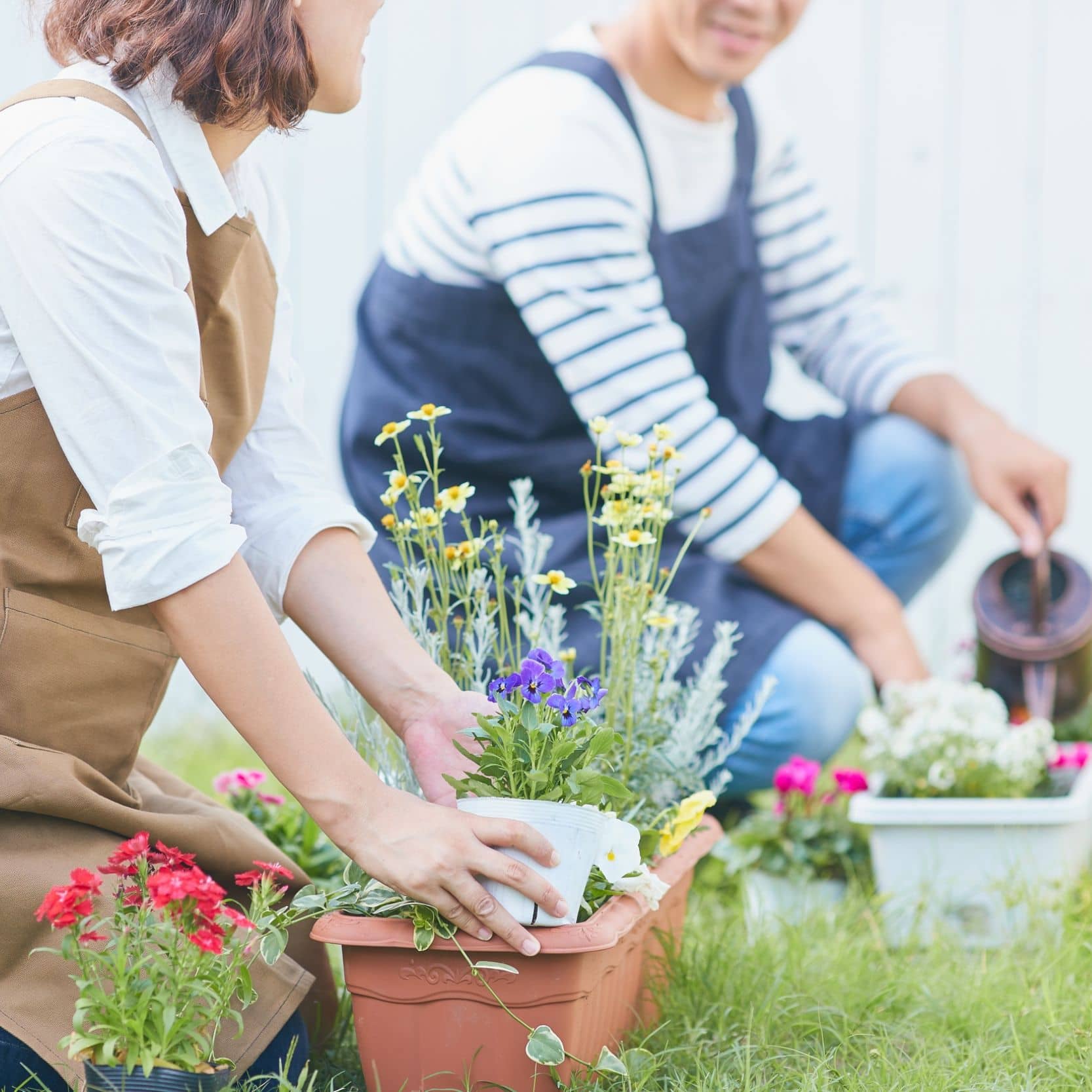 Der Garten im Frühling