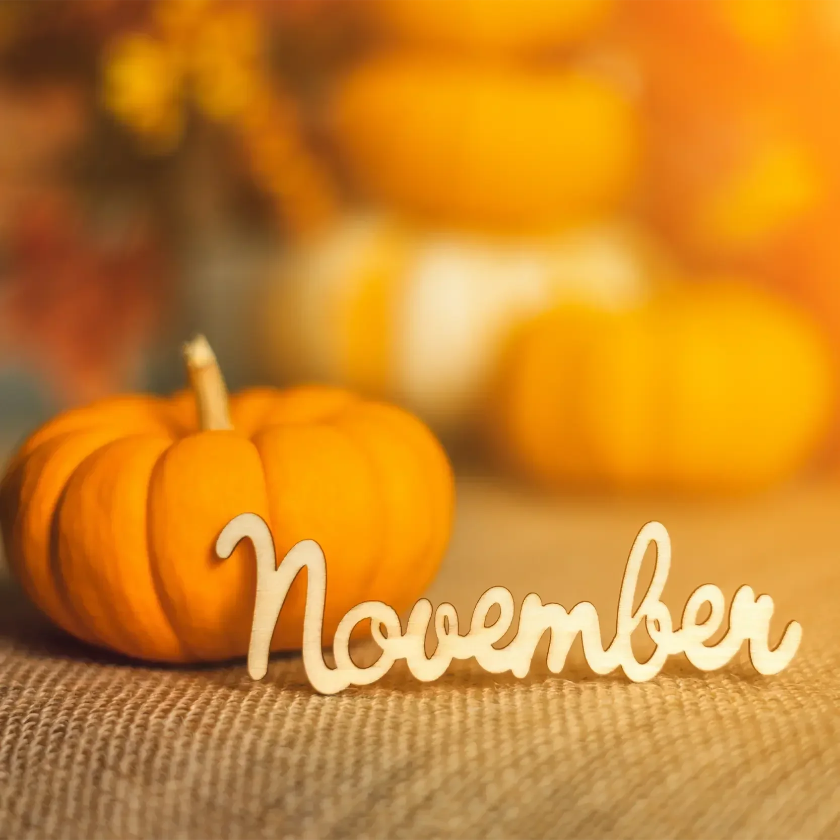Schenken im November