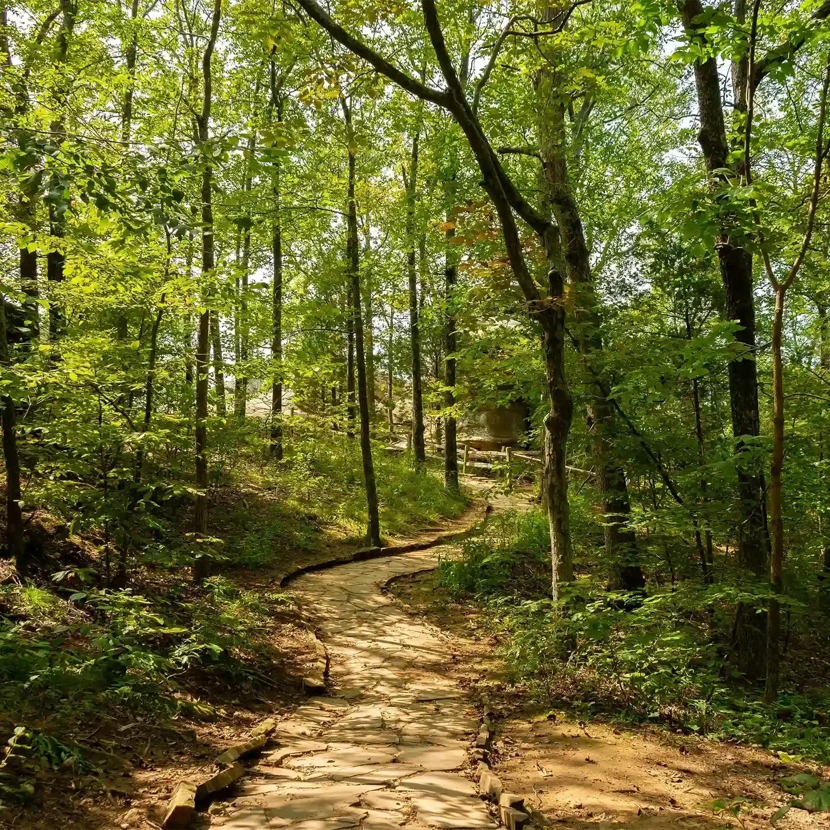 Wanderungen rund um Ulm