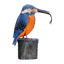 Ars Mundi
