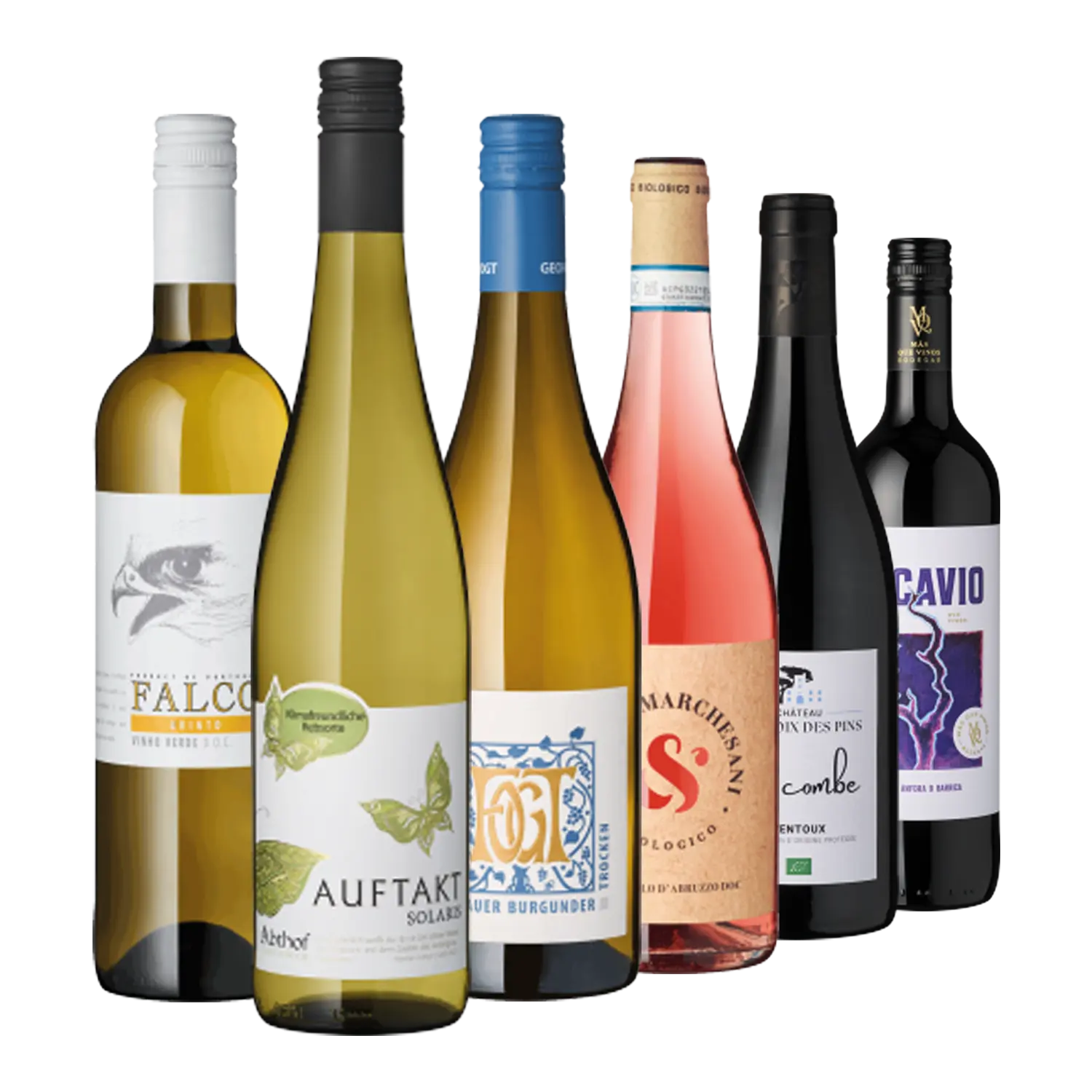 Sechs Bio-Weine aus dem Weinpaket Frühjahrsedition 2026 in eleganter Reihe.