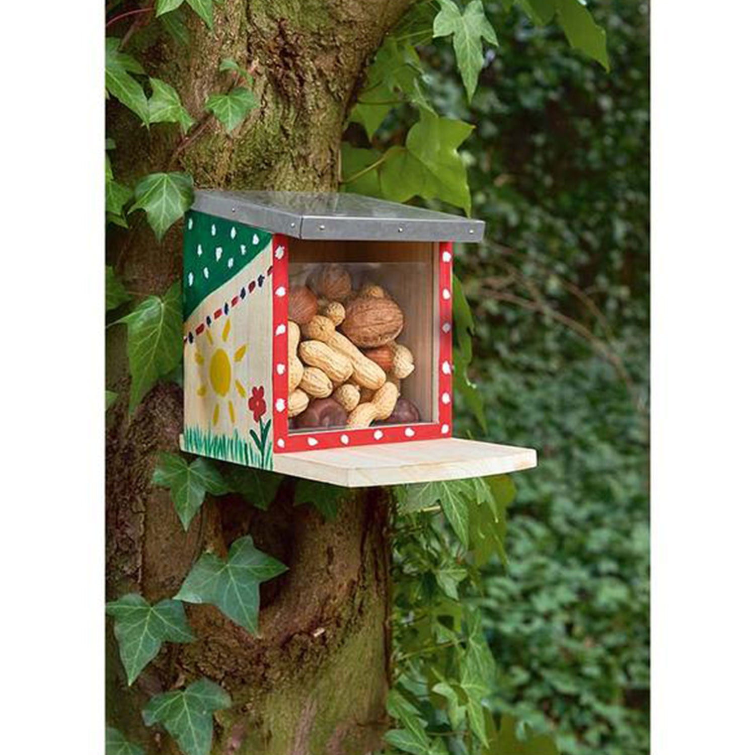 Ein bemaltes Eichhörnchenfutterhaus  mit Nüssen gefüllt.
