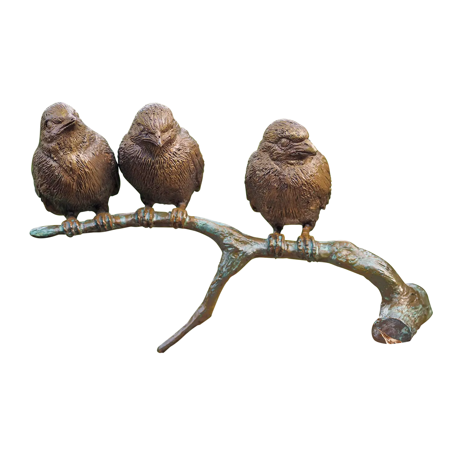 Vögel auf Ast