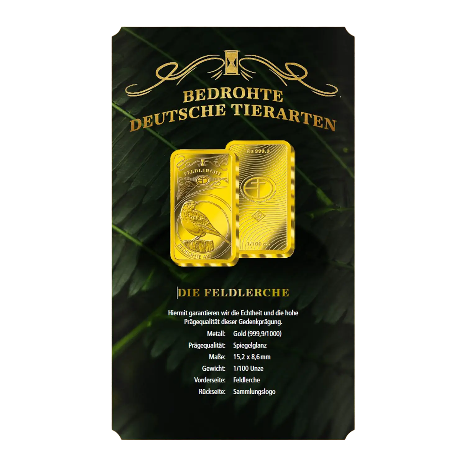 Goldbarren Bedrohte Tierarten Feldlerche