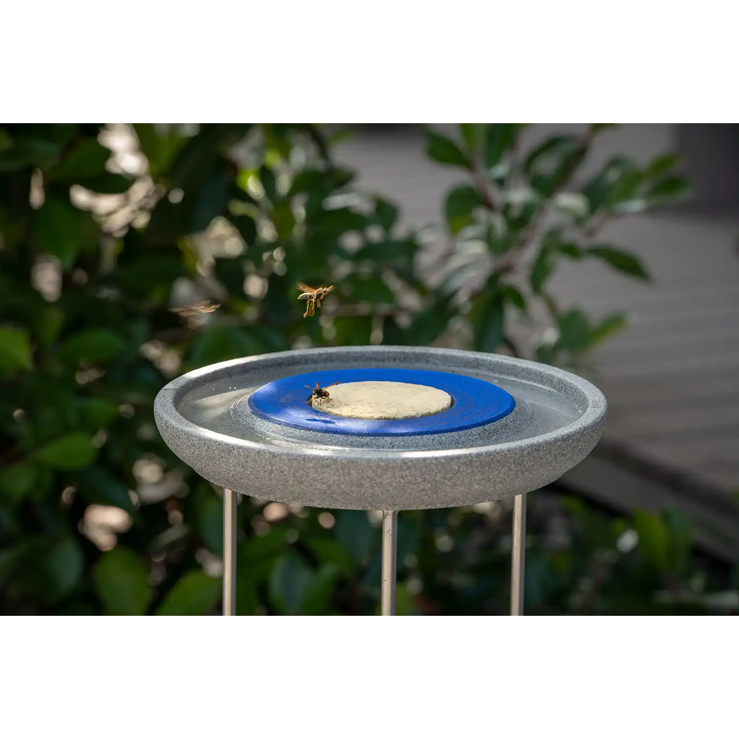 Insektentränke in blau / gelb