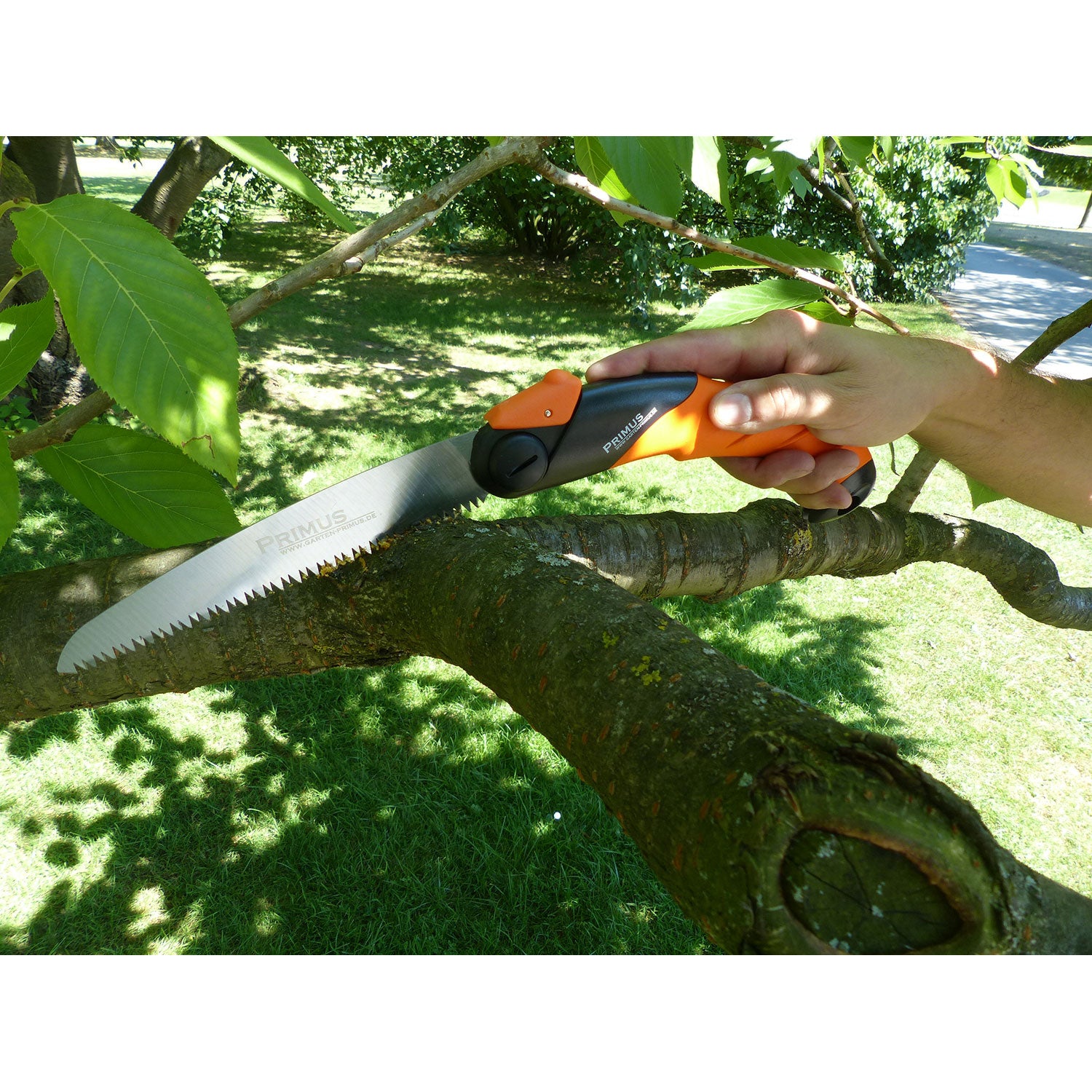 Mit einer Klappsäge – einer japanischen Zugsäge – sägt jemand im Freien fachmännisch einen Ast ab. Die Klinge steckt im Ast und unterstreicht präzise Holzbearbeitungsfähigkeiten vor einer ruhigen Kulisse aus saftig grünem Gras und belaubten Bäumen.