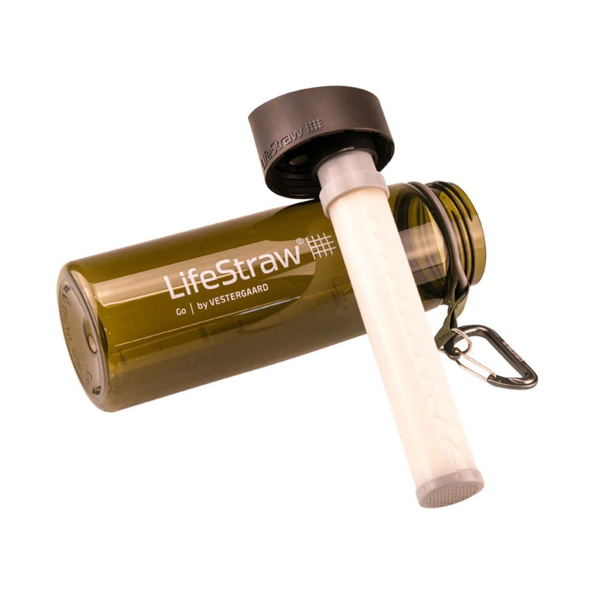 Die grüne LIFESTRAW GO2 Wasserflasche mit Filter enthält einen herausnehmbaren weißen Filter zur Entfernung von Bakterien und Parasiten für sauberes Trinkwasser. Der schwarze Deckel verfügt über einen Karabiner zur einfachen Befestigung und trägt den Markennamen an der Seite.