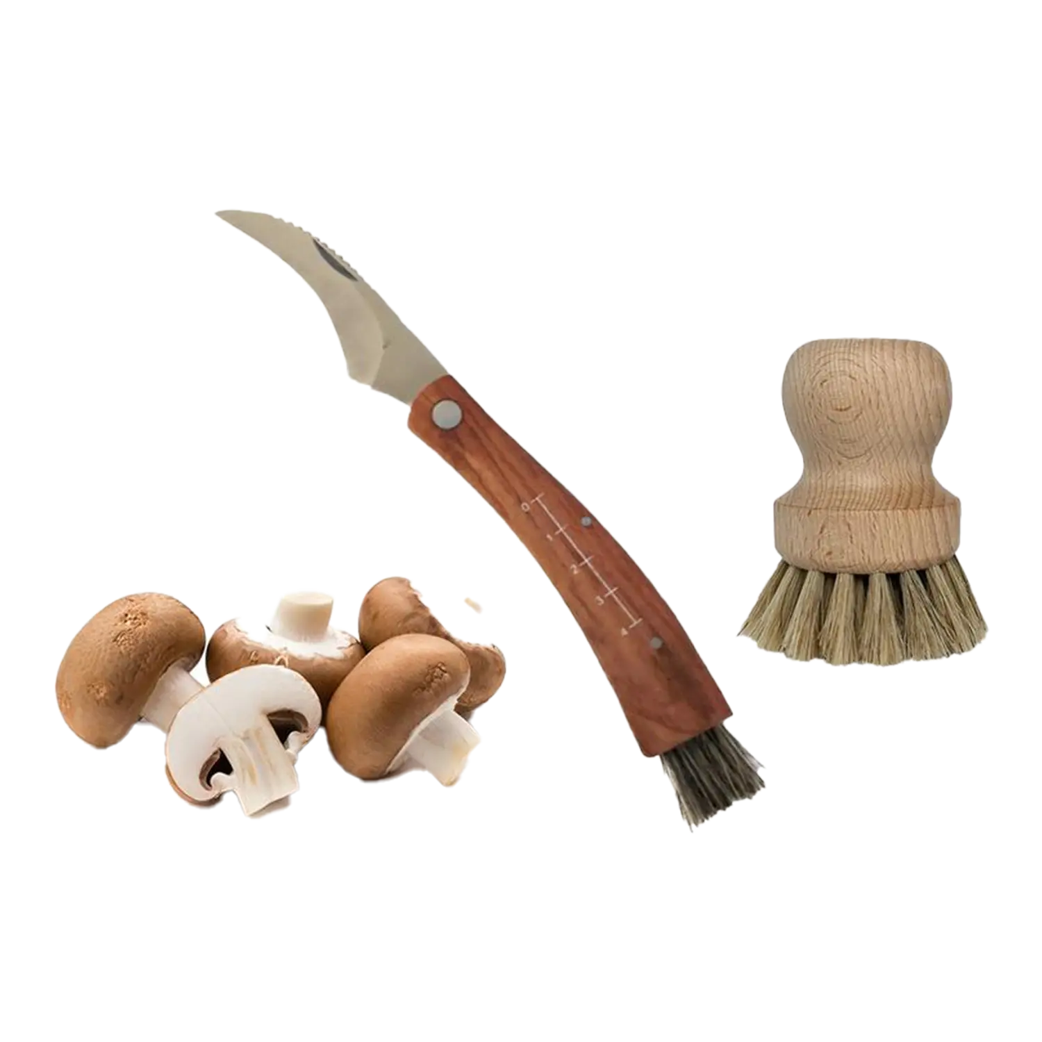 Pilzsammler-Set für Pilzliebhaber